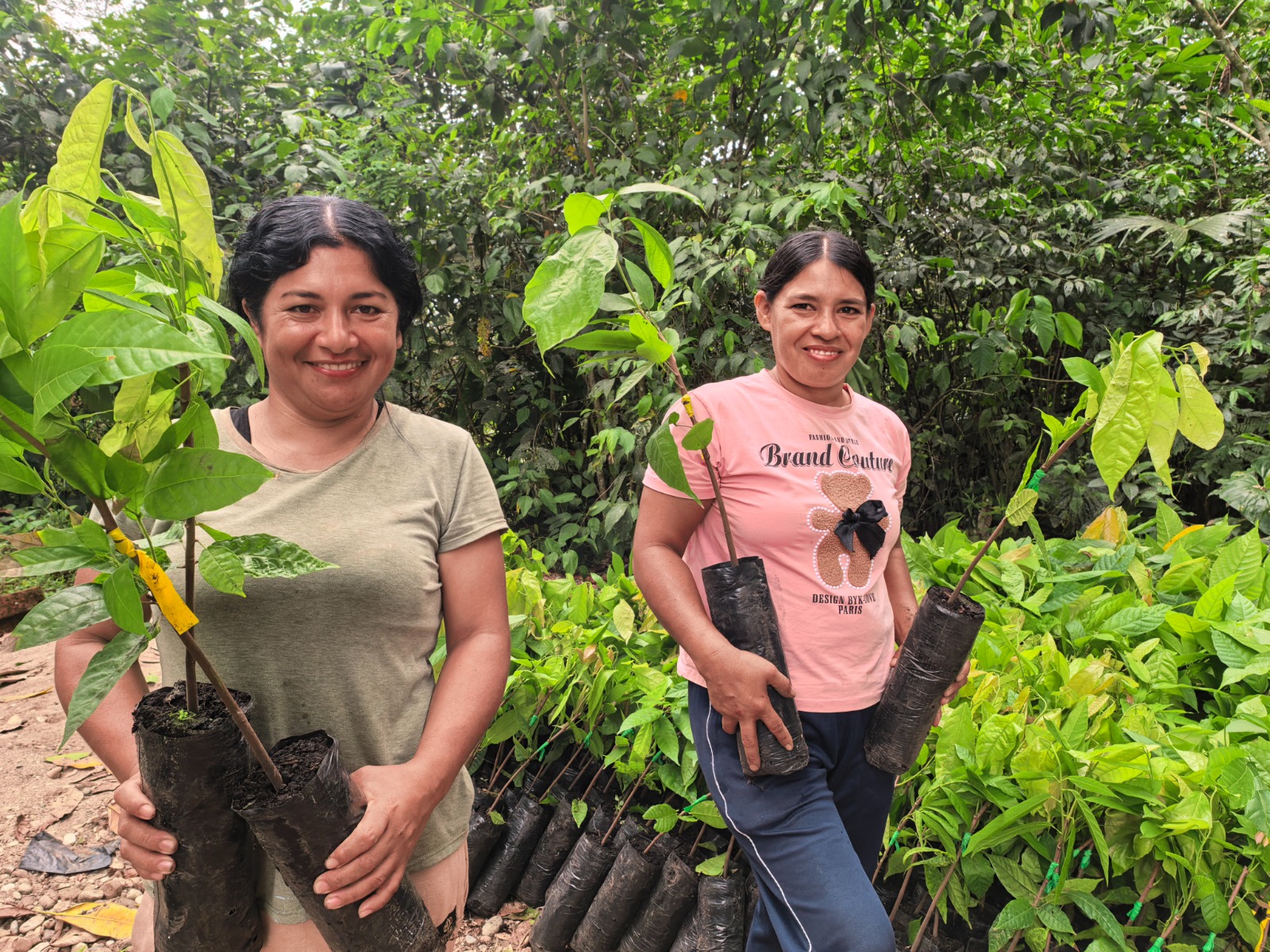 Gran Tierra Energy y Swisscontact unen esfuerzos para seguir fortaleciendo el sectorcacaotero en Putumayo, beneficiando a 79 familias rurales en Puerto Asís