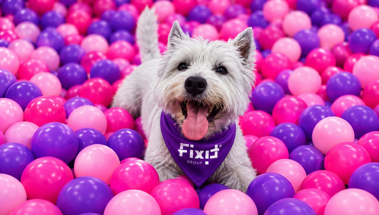 Fixit llega a Paw Run Fest con experiencias, sorpresas y soluciones para el bienestar de las mascotas